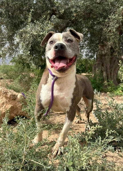 KRYPTO (Maria)