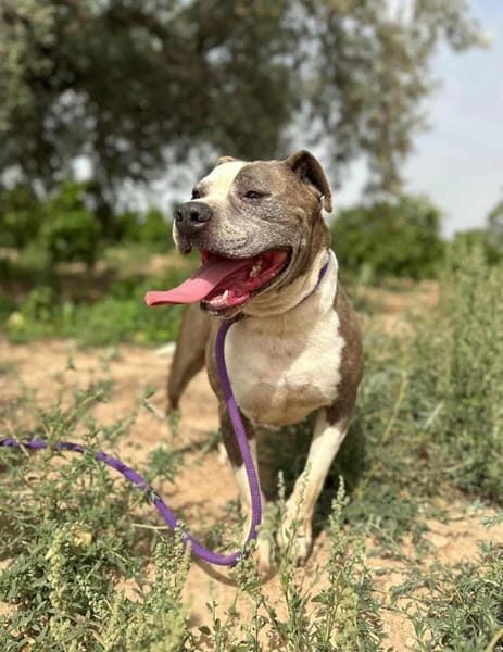 KRYPTO (Maria)