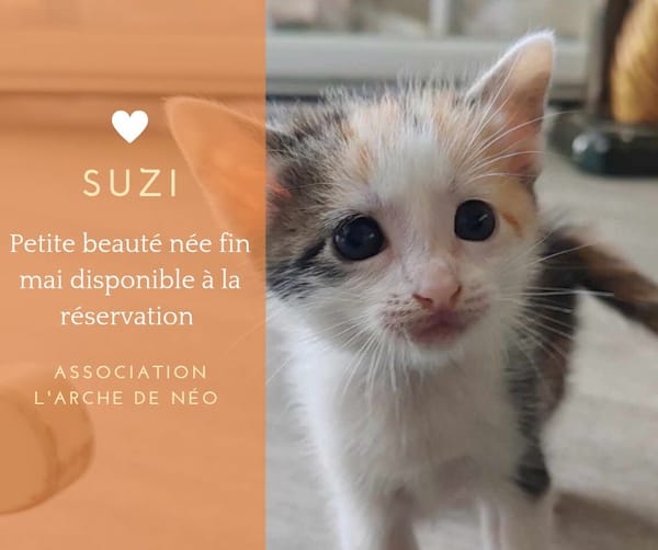 Suzi