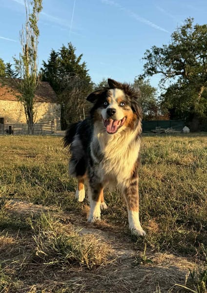 Osko