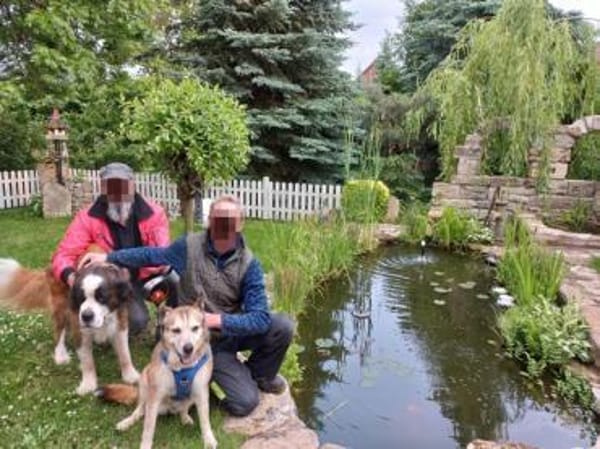 Menschenbezogene Rua sucht Zuhause