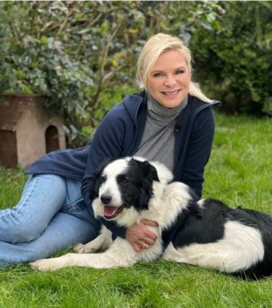 Herzenshund gesucht?Oreo wartet auf dich