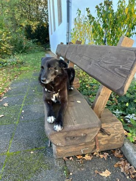 NINA hat nichts falsch gemacht