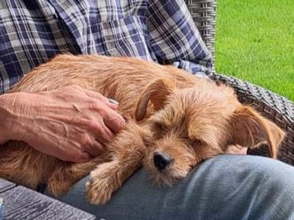 Lola möchte Ihre Familie bereichern