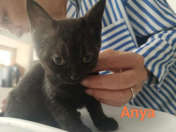 ANYA