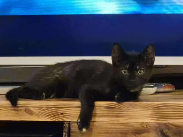 BIJOU