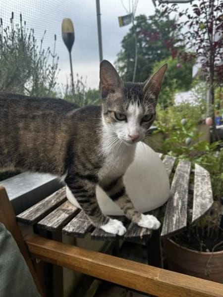 Terra sucht Dich
