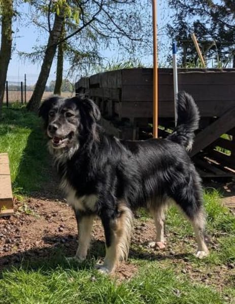 Bagda, liebevoll und sanft