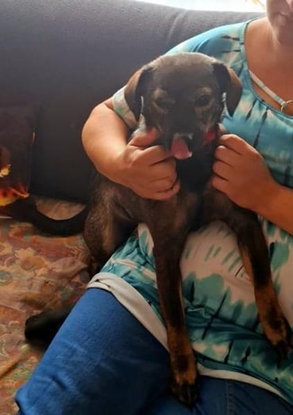 Süße Eli❤ sucht liebevolles Zuhause