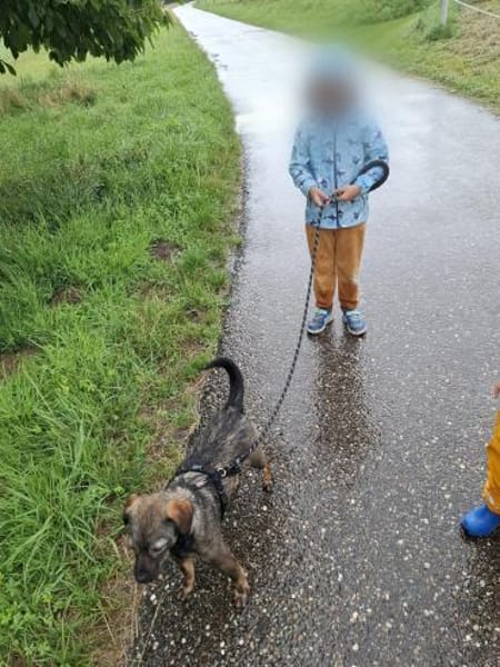 Süße Eli❤ sucht liebevolles Zuhause