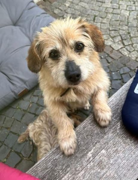 FRED - lieber kleiner Opi........