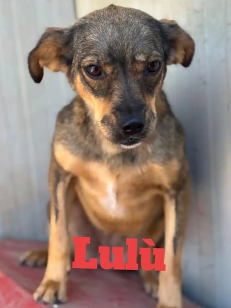 Nina e Lulù
