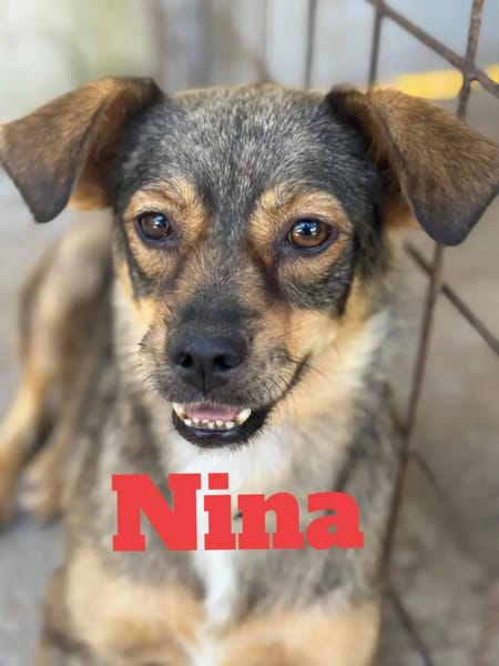 Nina e Lulù