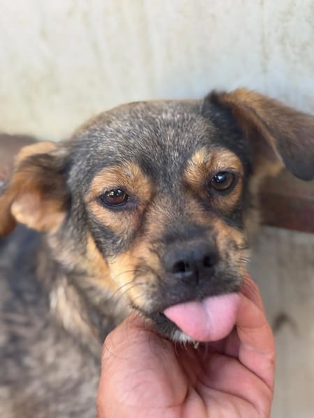 Nina e Lulù