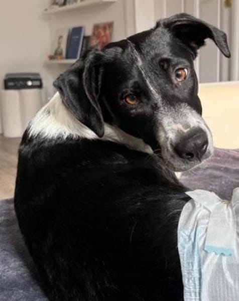 Wunderbare♥Wilma♥wartet in 04157 Leipzig