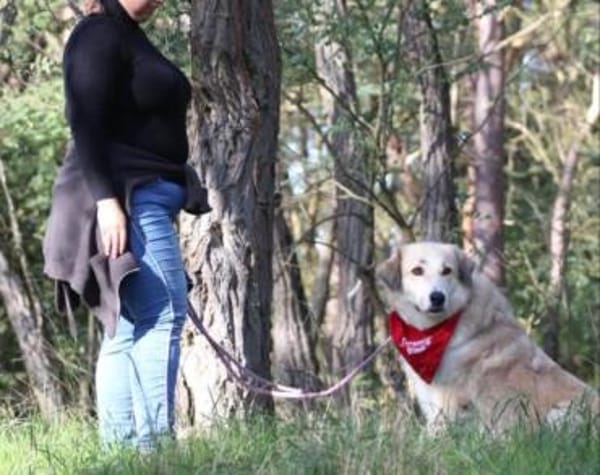 Heidi sucht ihr Für-Immer-Zuhause