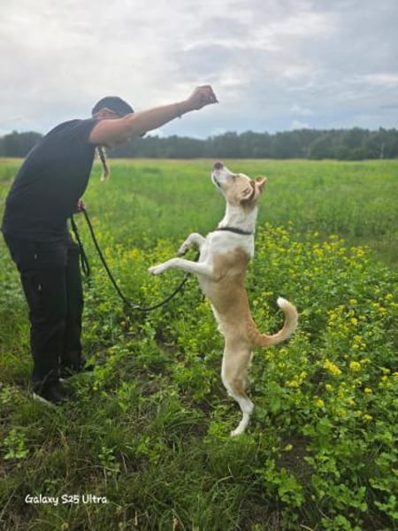 Chip  Schlauer Jungspund