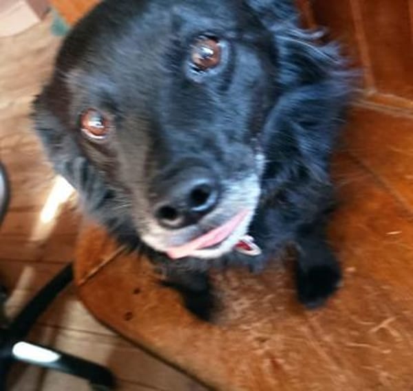 ❤ MOLLY - besonderer Schatz ❤