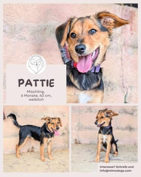 Pattie: Unser Gute-Laune-Paket