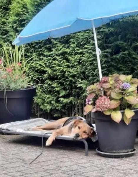 SKROLLAN -benötigt Zeit um zu Vertrauen-