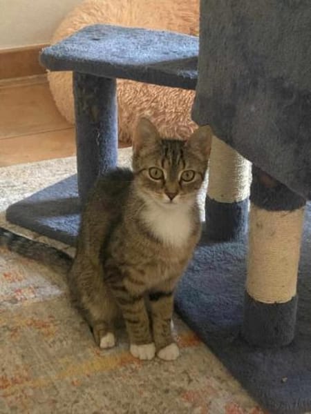 Schüchterne Lilly sucht Familie
