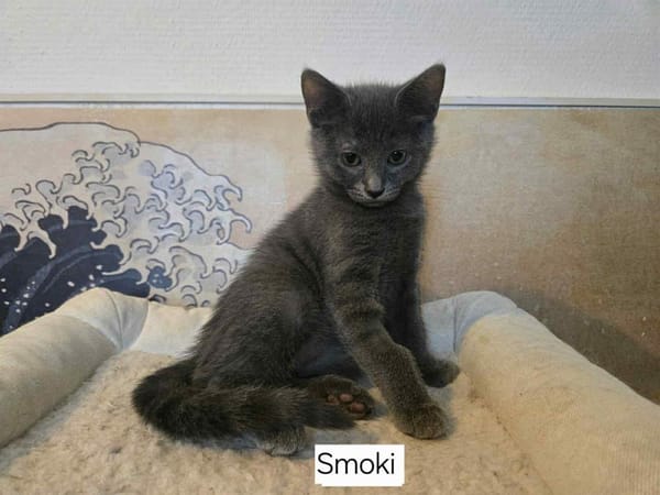 SMOKY