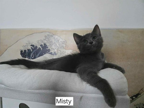 MISTY