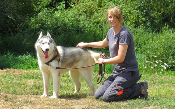 THORAK (en placement provisoire)