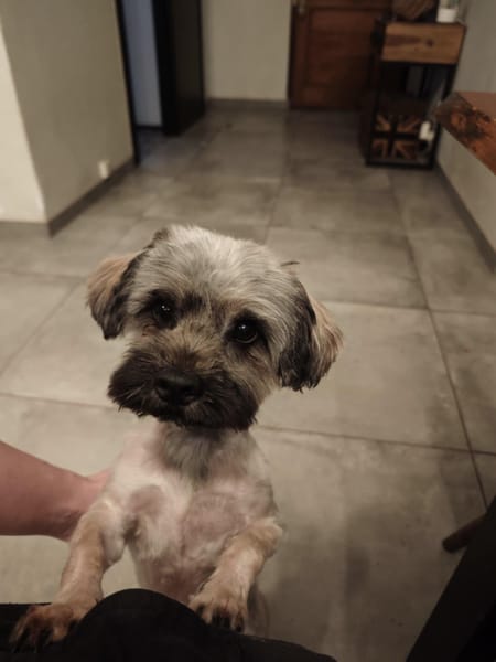 PAQUITO