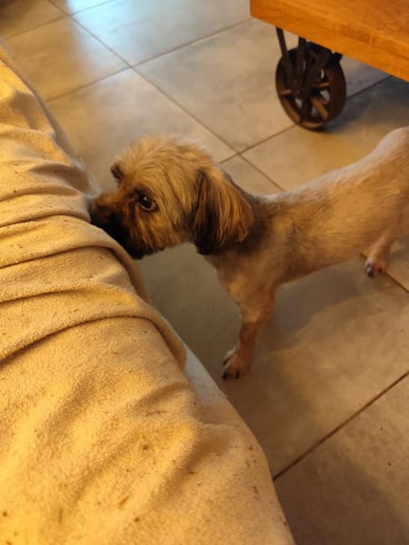 PAQUITO