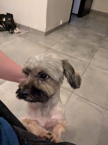 PAQUITO