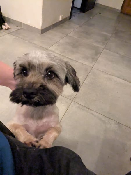PAQUITO