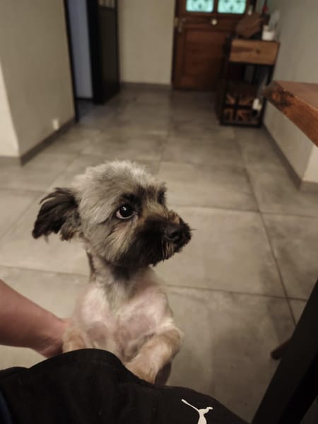 PAQUITO