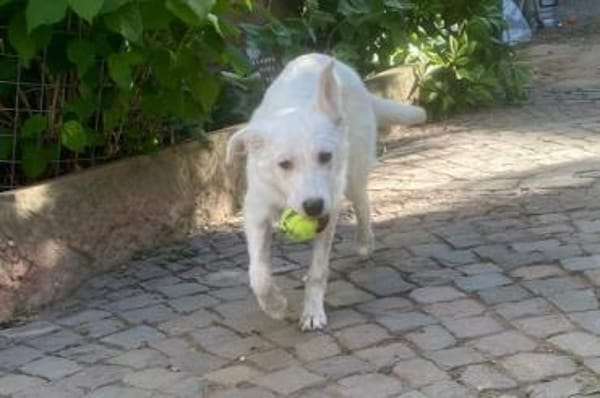 Lina möchte endlich ankommen