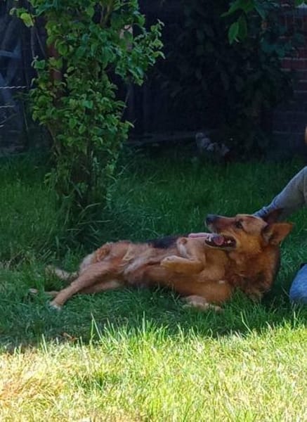APRILUSA sucht ihr Für-Immer-Zuhause