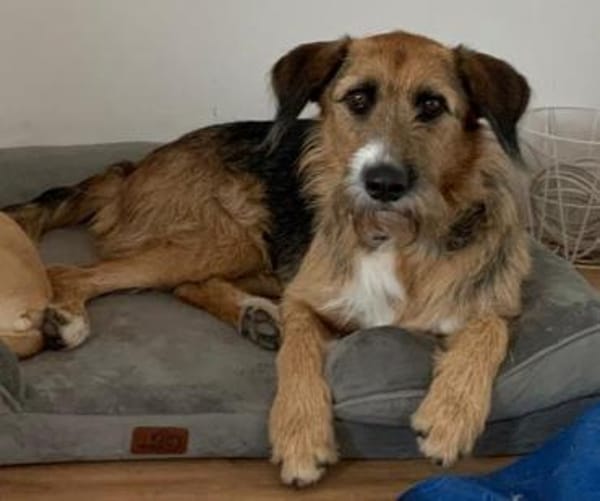 Winston wartet auf seine zweite Chance