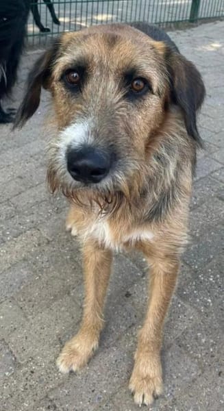 Winston wartet auf seine zweite Chance