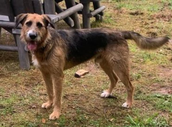 Winston wartet auf seine zweite Chance