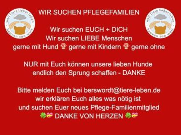 WIR SUCHEN PFLEGEFAMILIEN