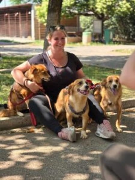 Pippa, zarte Hündin sucht ihr Zuhause
