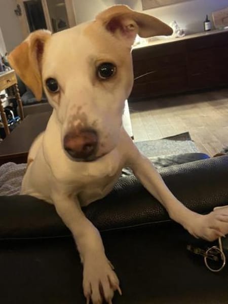 Manolo auf der Suche nach Glück 82284