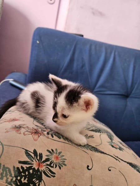 Czwartek