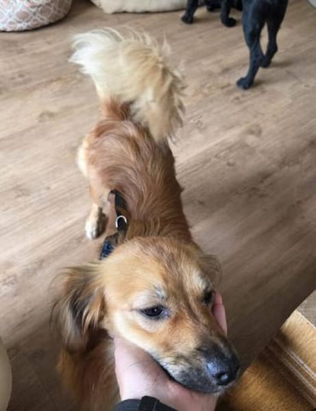 LOTTI 2 ist zauberhaft