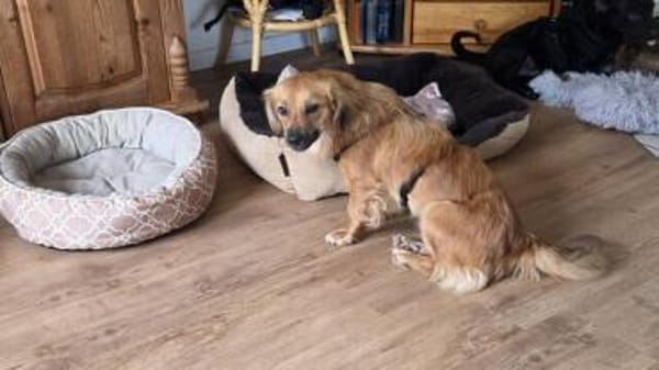 LOTTI 2 ist zauberhaft