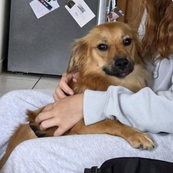LOTTI 2 ist zauberhaft