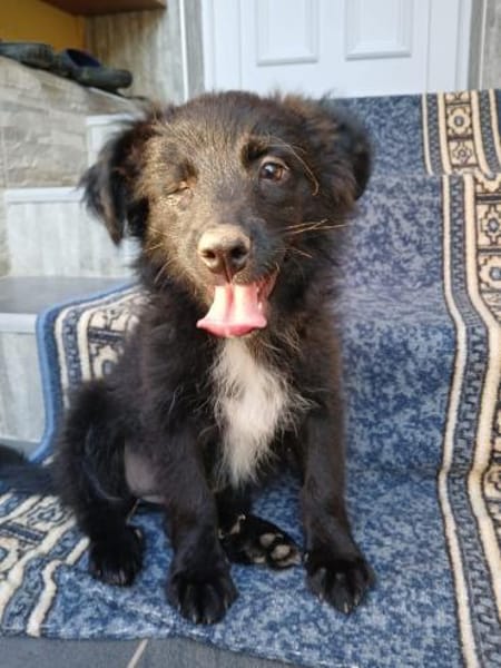 Die kleine💕Tilda💕 sucht ihre Menschen