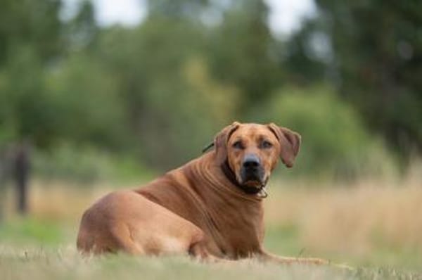 Schröder sucht seinen Endplatz