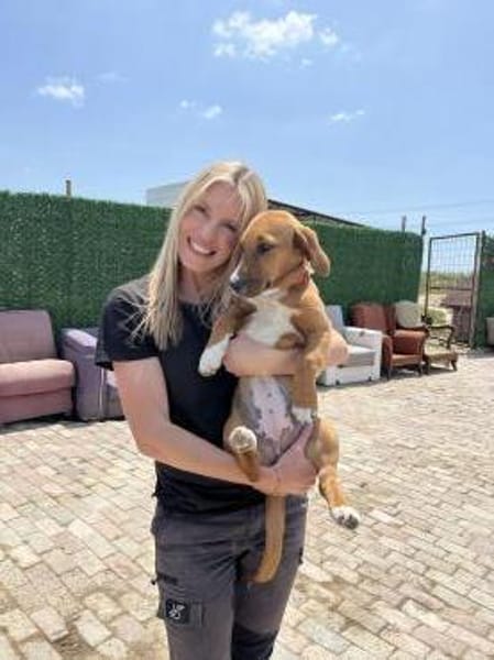 Kleine Bailey sucht ab Nov ein zu Hause