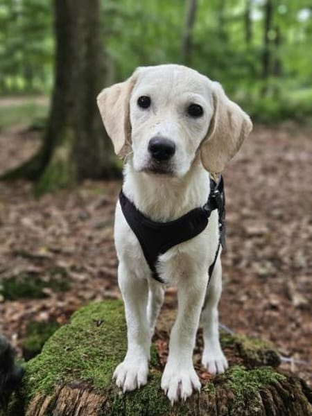 Freya, niedliche Sportskanone, 4M 45468