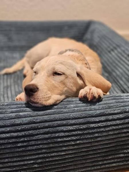 Freya, niedliche Sportskanone, 4M 45468